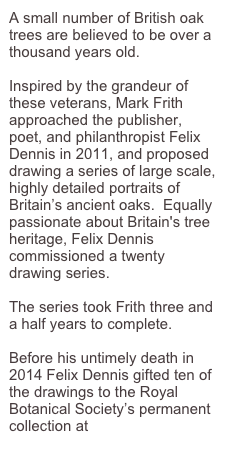 A small number of British oak trees are believed to be over a thousand years old.

Inspired by the grandeur of these veterans, Mark Frith approached the publisher, poet, and philanthropist Felix Dennis in 2011, and proposed drawing a series of large scale, highly detailed portraits of Britain’s ancient oaks.  Equally passionate about Britain's tree heritage, Felix Dennis commissioned a twenty drawing series. 

The series took Frith three and a half years to complete. 

Before his untimely death in 2014 Felix Dennis gifted ten of the drawings to the Royal Botanical Society’s permanent collection at  